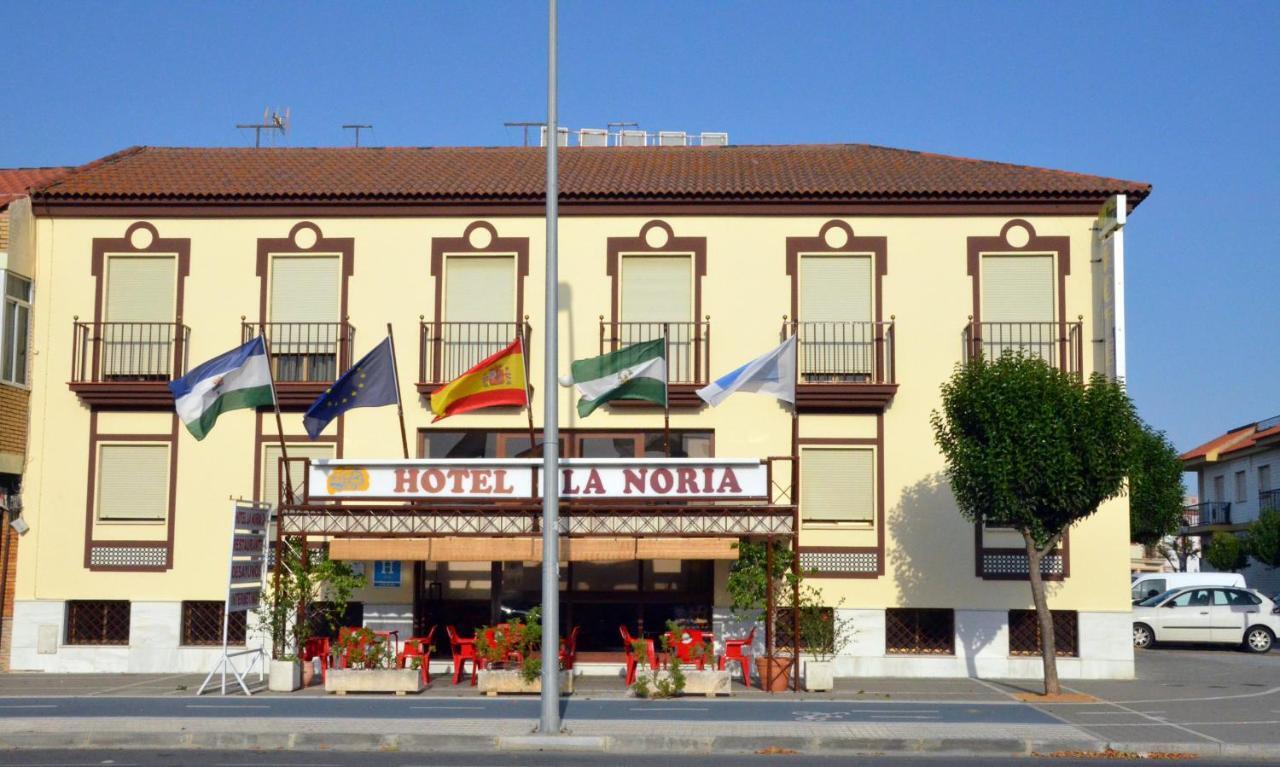 Hotel La Noria Лепе Экстерьер фото